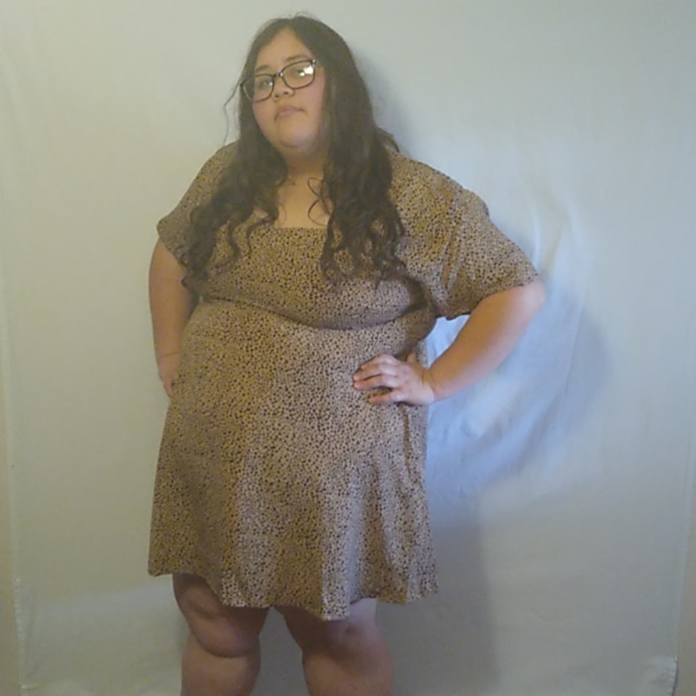 Heartbreaker Cheetah Print Plus Size Dress NWT